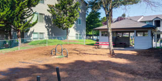 River Terrace Gallery 13