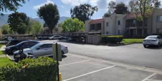 Sierra Vista Gallery 11