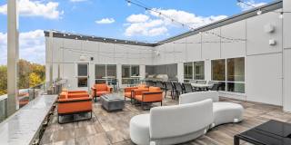 The Aurilla Gallery 47