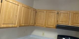 Hewitt Gardens Gallery 19