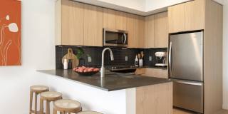 The Edmund Gallery 2