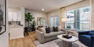 The Lola The Lola Gallery 3