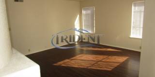 Large 4 bedroom, 3 bath house located on a large lot Gallery 7