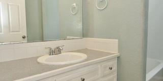 Clean & Move-In Ready Single-Level Home Gallery 19