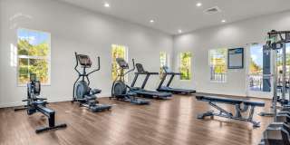 Ravinia St. Lucie Gallery 11
