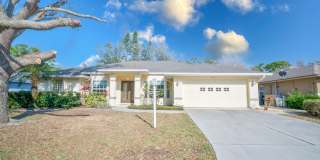 3298 Branch Creek Dr Gallery 2