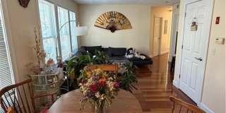 132 elton Street Gallery 8