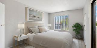 Twin Palms Gallery 48