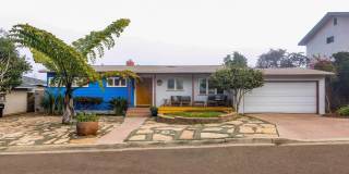 541 Tarento Dr Gallery 44