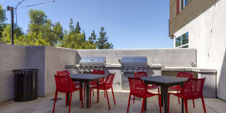 The Harrington Gallery 7