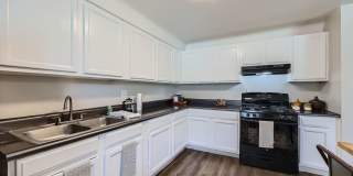 Alpine Flats Gallery 31