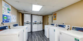 Palisades Gallery 30