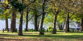 Northlight Gallery 85