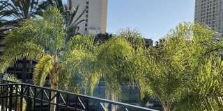 500 W Harbor Drive W Gallery 13