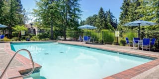 Silver Oak Gallery 9