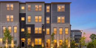 19746 MISTY MOSS Square Gallery 1