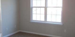 COMING SOON - Occupied Gallery 17