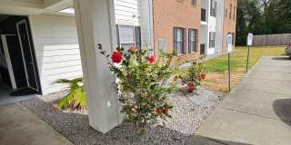 Companion At Cambridge Point Gallery 1