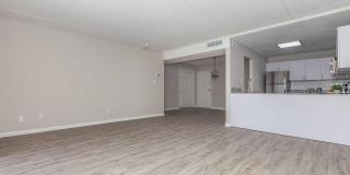 Bellevue Towers Gallery 125