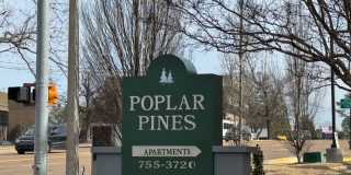 Poplar Pines Gallery 1