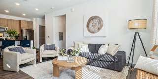 Premier at West Park Gallery 6