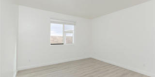 38938 Malva Rosa Drive Gallery 21