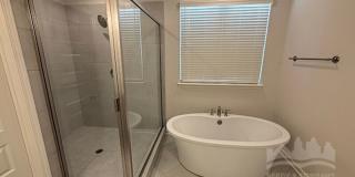 340 Chesnut Ridge Cv Gallery 11