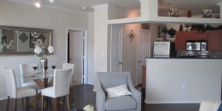 Stone Lake Gallery 3