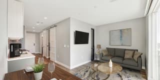 Tanager Echo Gallery 29