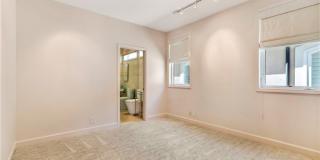 319 Orchid Gallery 17