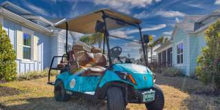 533 Margaritaville Avenue Gallery 1