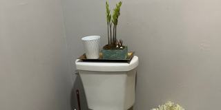 2 Bed / 1 Bath First-Floor Rental – Available ASAP Gallery 27