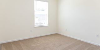 Move In Ready!! Gallery 11