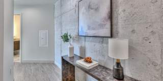 Prima at Paseo South Gulch Gallery 19