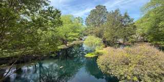 2553 Stockbridge Drive Gallery 9