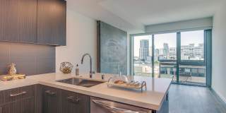 The Merian Gallery 47