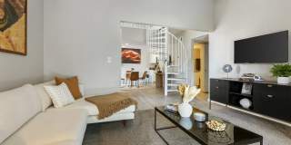 255 North Gallery 1