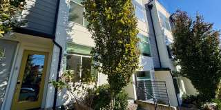 Judkins Park Townhouse Gallery 1