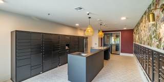 Forena Revelstoke Gallery 21