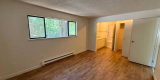 3 Bed 2 Bath Condo & Pool Access! Gallery 12