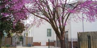 69 Randolph Street NE Gallery 17