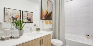 Lucent Scottsdale Gallery 18