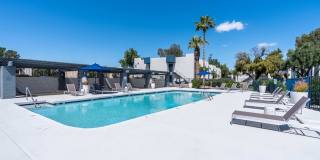 Rise Lakeside Gallery 82