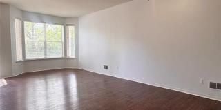 3757 Cherry Creek Lane Gallery 5