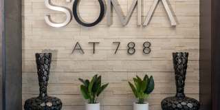SOMA at 788 Gallery 43