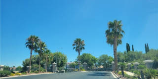 1476 Morning Crescent Street Gallery 45
