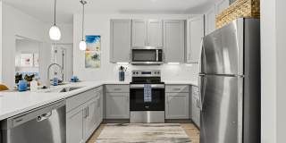 The Galaxy at Polaris Gallery 11