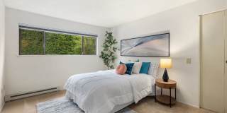 3 Bedroom 2 Bathroom Plus Parking Gallery 17
