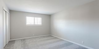 Avana Collins Creek Gallery 12