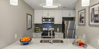 The Ashley Gallery 33